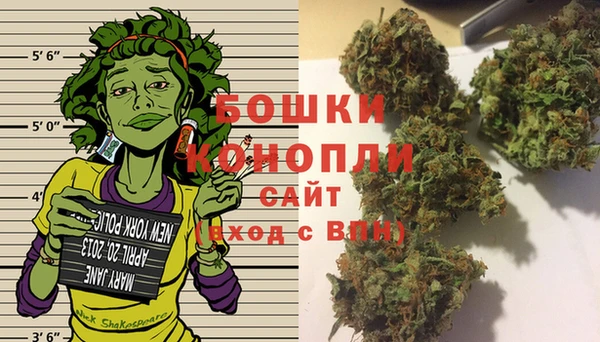 сатива Магас