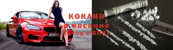 сатива Магас