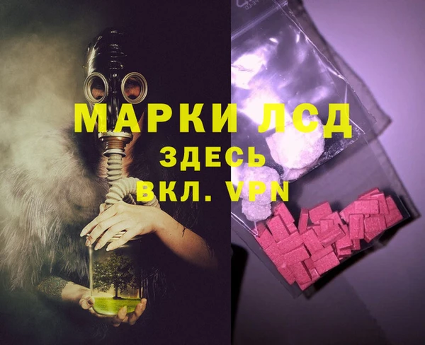 сатива Магас